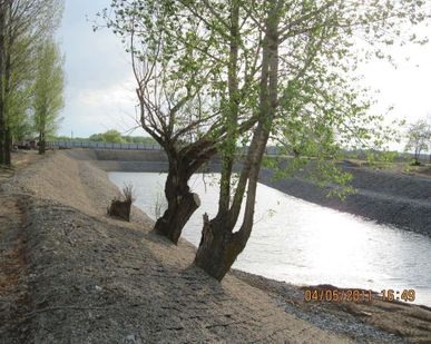 фото Укрепление берега